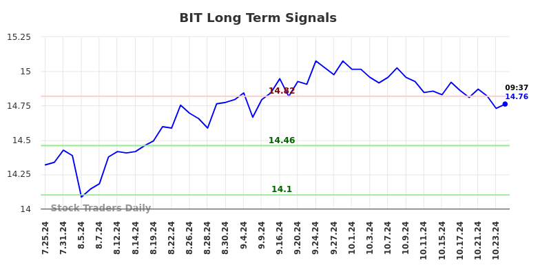 BIT Long Term Analysis for January 24 2025