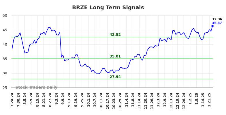 BRZE Long Term Analysis for January 24 2025