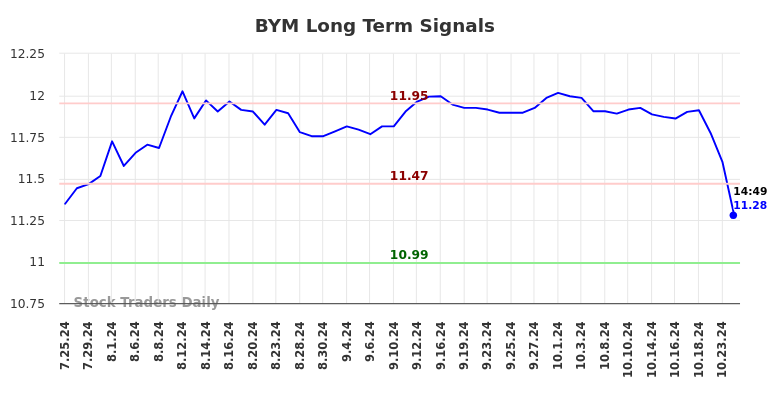 BYM Long Term Analysis for January 24 2025