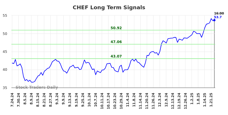 CHEF Long Term Analysis for January 24 2025