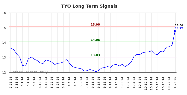 TYO Long Term Analysis for January 28 2025