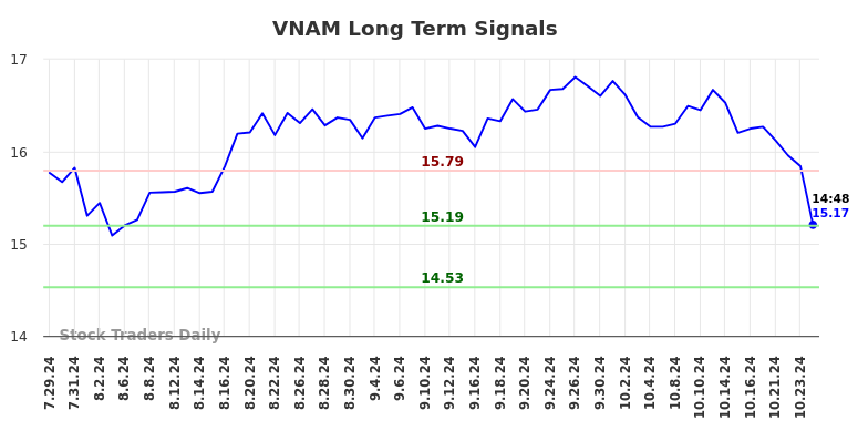 VNAM Long Term Analysis for January 29 2025