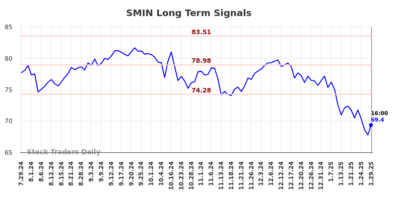 SMIN Long Term Analysis for January 29 2025