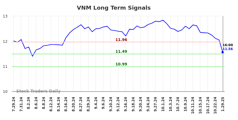 VNM Long Term Analysis for January 30 2025