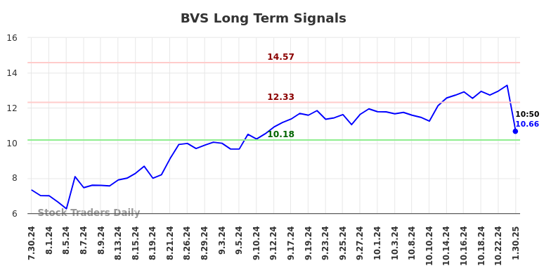 BVS Long Term Analysis for January 30 2025