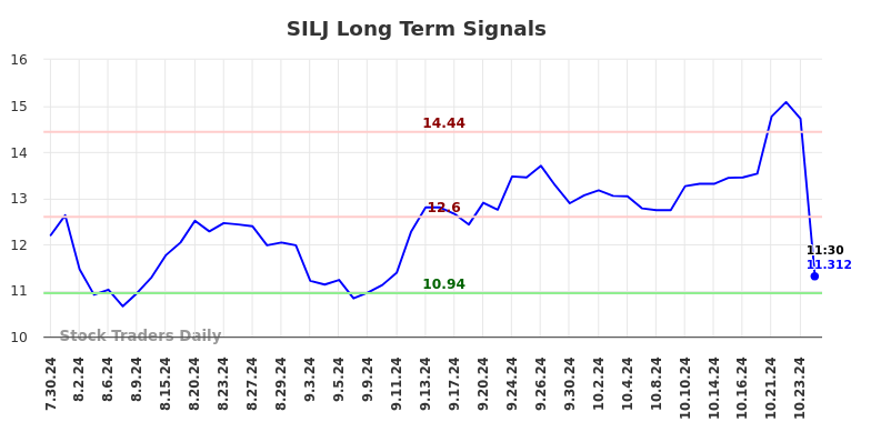 SILJ Long Term Analysis for January 30 2025