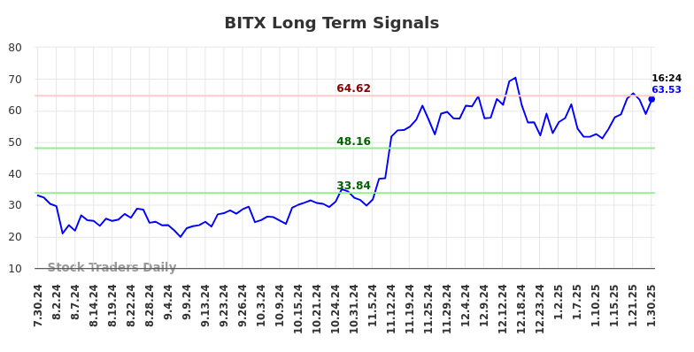 BITX Long Term Analysis for January 30 2025