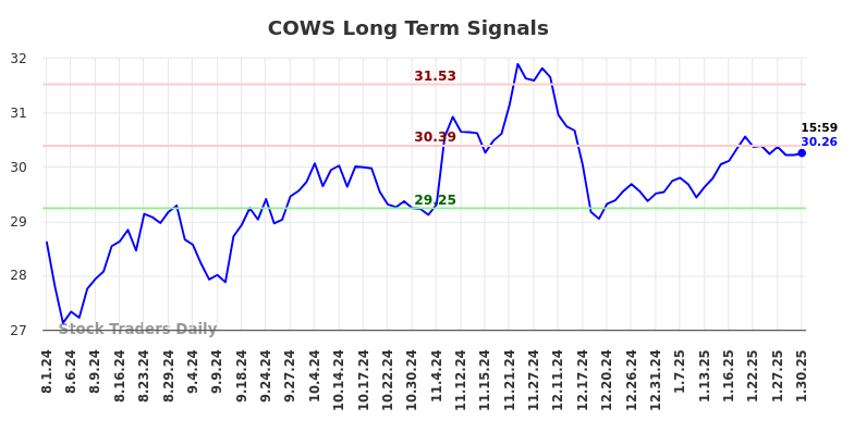 COWS Long Term Analysis for January 31 2025