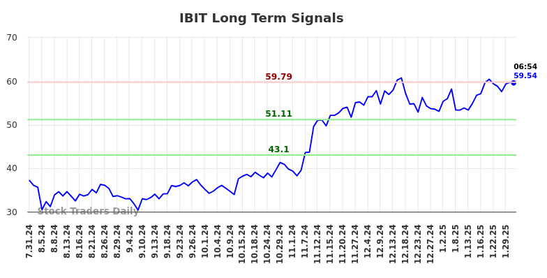 IBIT Long Term Analysis for January 31 2025