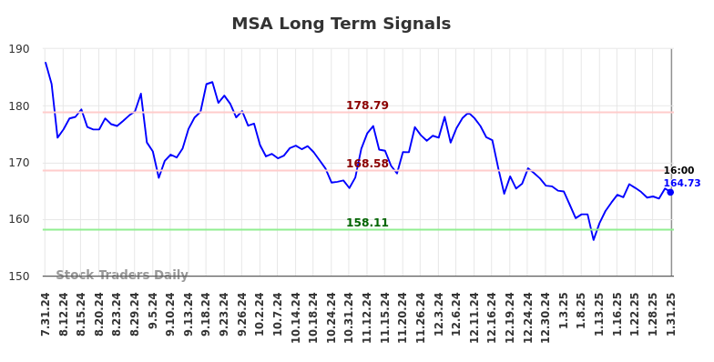 MSA Long Term Analysis for February 1 2025