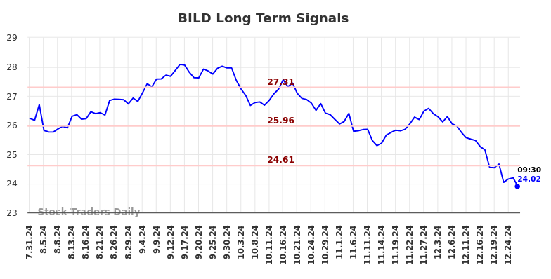 BILD Long Term Analysis for February 2 2025