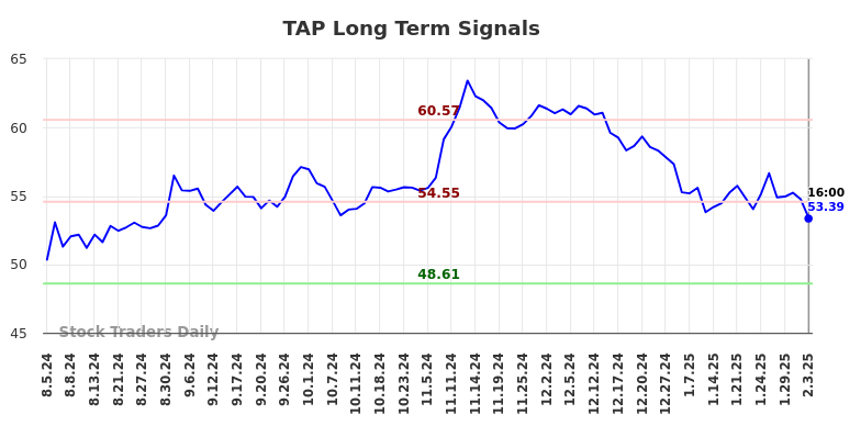 TAP Long Term Analysis for February 3 2025