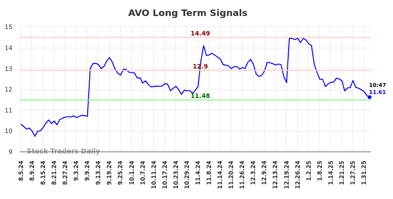 AVO Long Term Analysis for February 4 2025