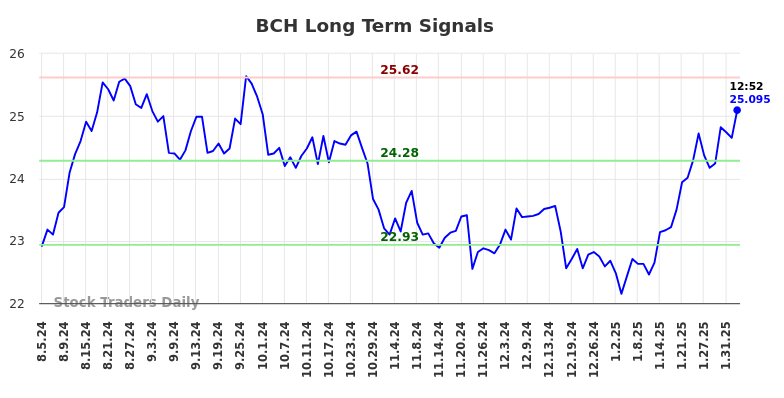 BCH Long Term Analysis for February 4 2025