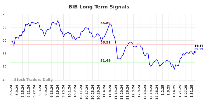 BIB Long Term Analysis for February 4 2025