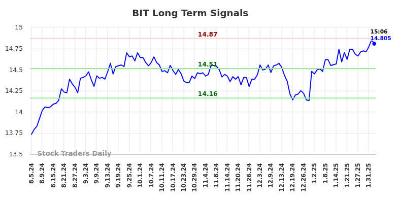 BIT Long Term Analysis for February 4 2025