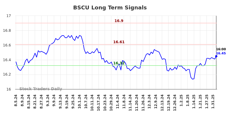 BSCU Long Term Analysis for February 4 2025