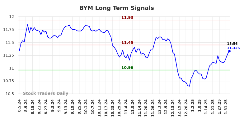 BYM Long Term Analysis for February 4 2025