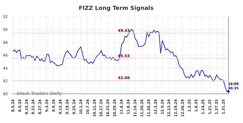 FIZZ Long Term Analysis for February 5 2025