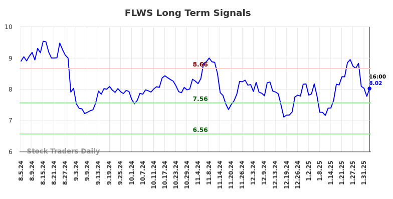 FLWS Long Term Analysis for February 5 2025