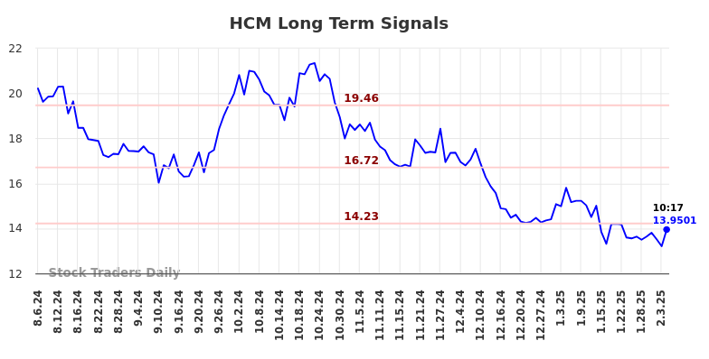 HCM Long Term Analysis for February 6 2025