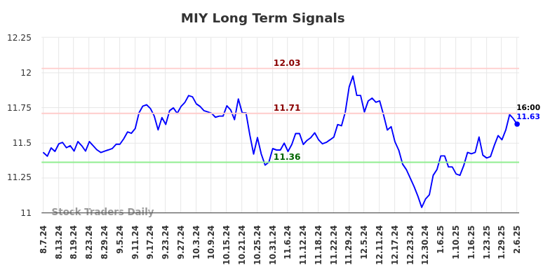 MIY Long Term Analysis for February 7 2025