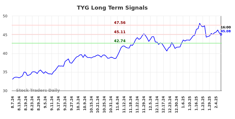 TYG Long Term Analysis for February 9 2025