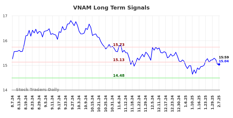 VNAM Long Term Analysis for February 9 2025