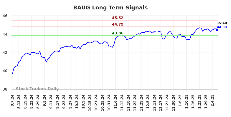 BAUG Long Term Analysis for February 9 2025 BAUG Long Term Analysis for February 9 2025