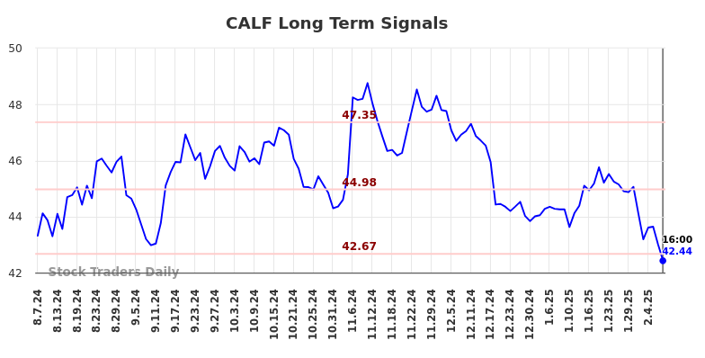 CALF Long Term Analysis for February 9 2025