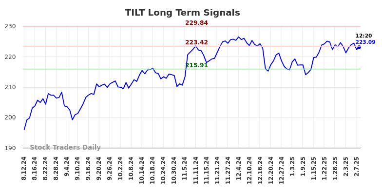 TILT Long Term Analysis for February 10 2025