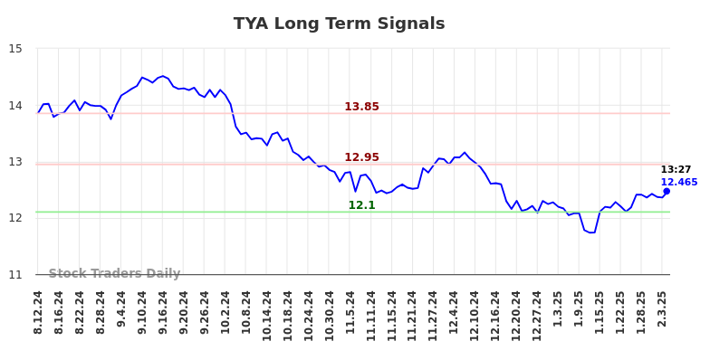 TYA Long Term Analysis for February 10 2025