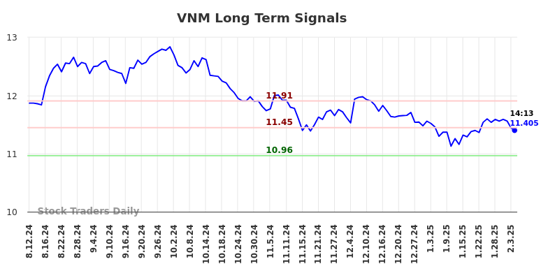 VNM Long Term Analysis for February 10 2025