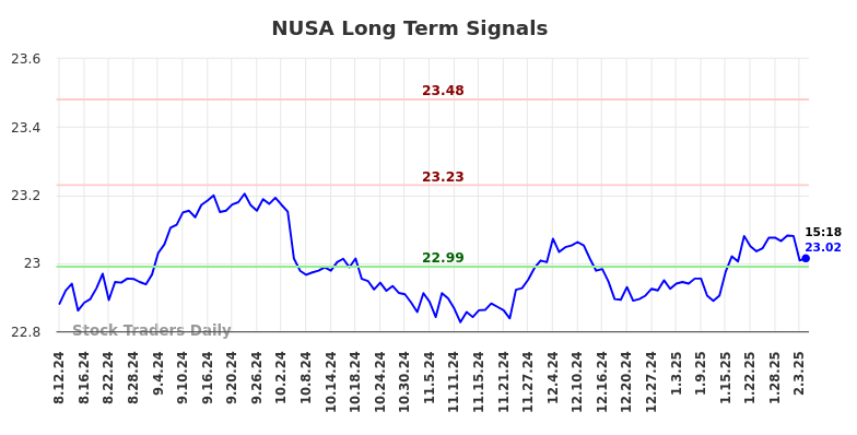 NUSA Long Term Analysis for February 10 2025