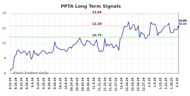 PPTA Long Term Analysis for February 10 2025