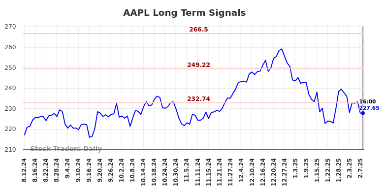 AAPL Long Term Analysis for February 11 2025