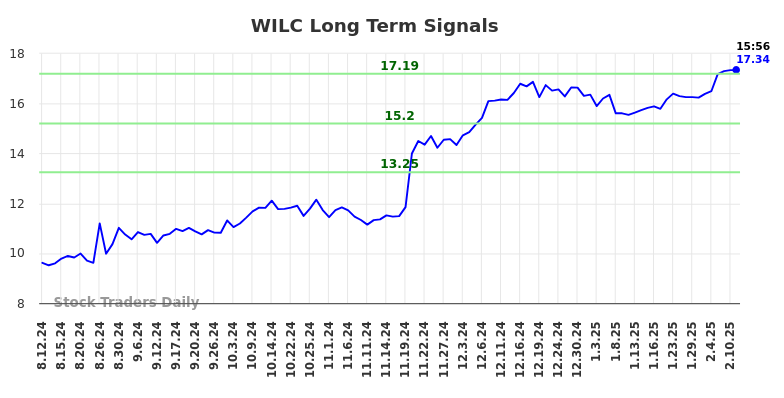 WILC Long Term Analysis for February 11 2025