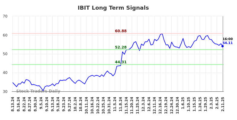 IBIT Long Term Analysis for February 11 2025