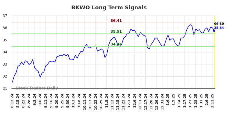 BKWO Long Term Analysis for February 13 2025