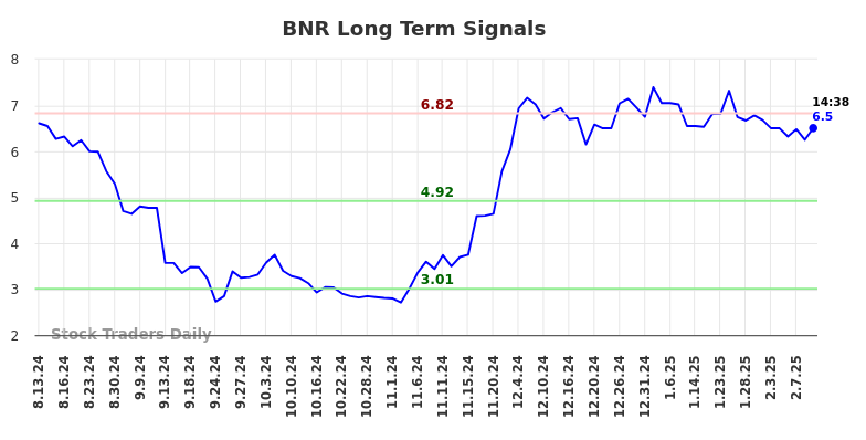 BNR Long Term Analysis for February 13 2025