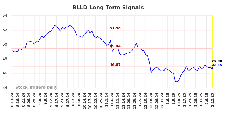 BLLD Long Term Analysis for February 13 2025