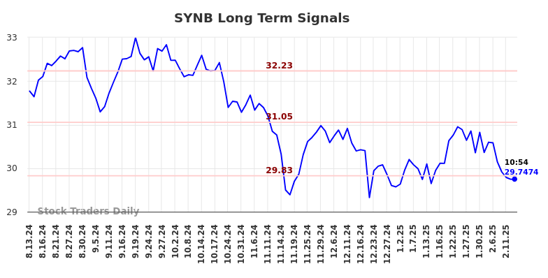 SYNB Long Term Analysis for February 13 2025