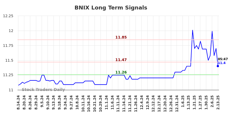 BNIX Long Term Analysis for February 13 2025
