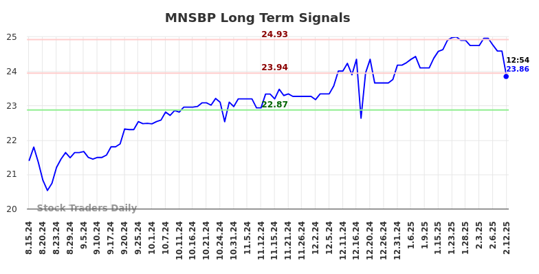 MNSBP Long Term Analysis for February 13 2025