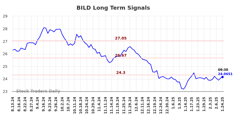 BILD Long Term Analysis for February 13 2025