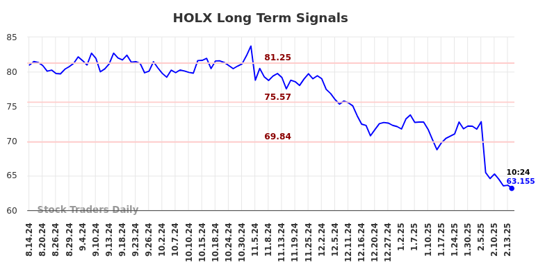 HOLX Long Term Analysis for February 14 2025