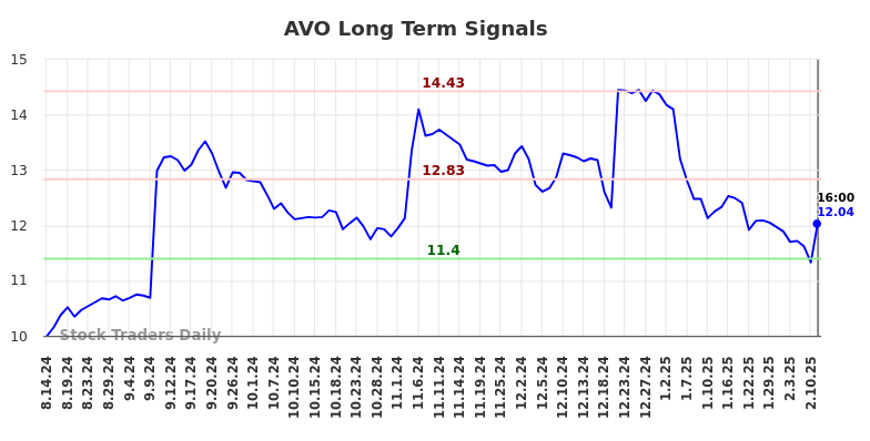 AVO Long Term Analysis for February 15 2025