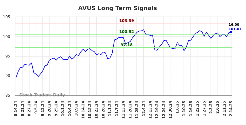 AVUS Long Term Analysis for February 15 2025