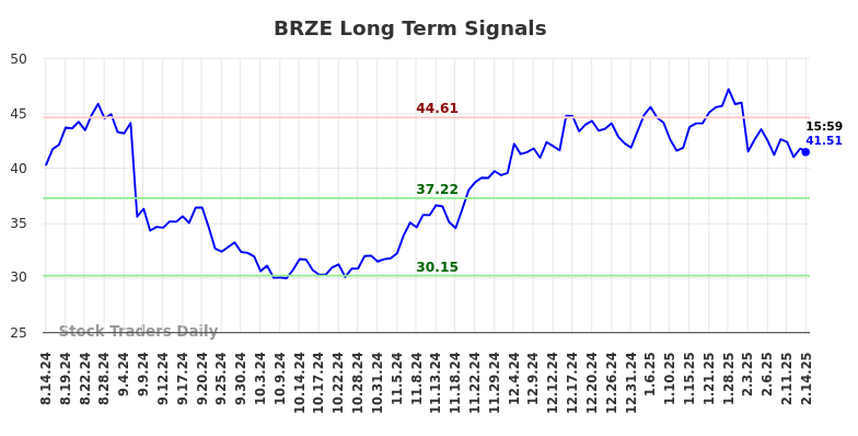 BRZE Long Term Analysis for February 15 2025