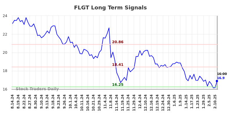 FLGT Long Term Analysis for February 16 2025